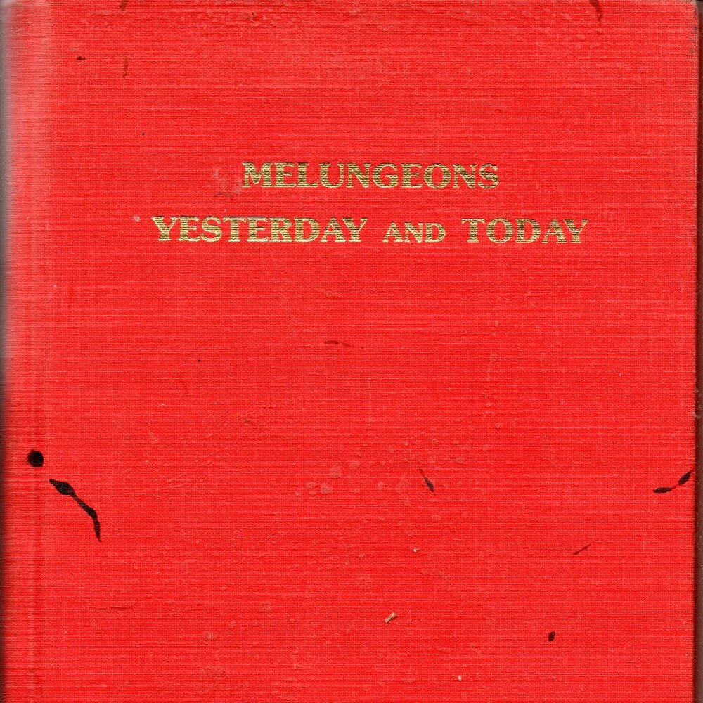 Melungeons Yesterday and Today - Hardcover